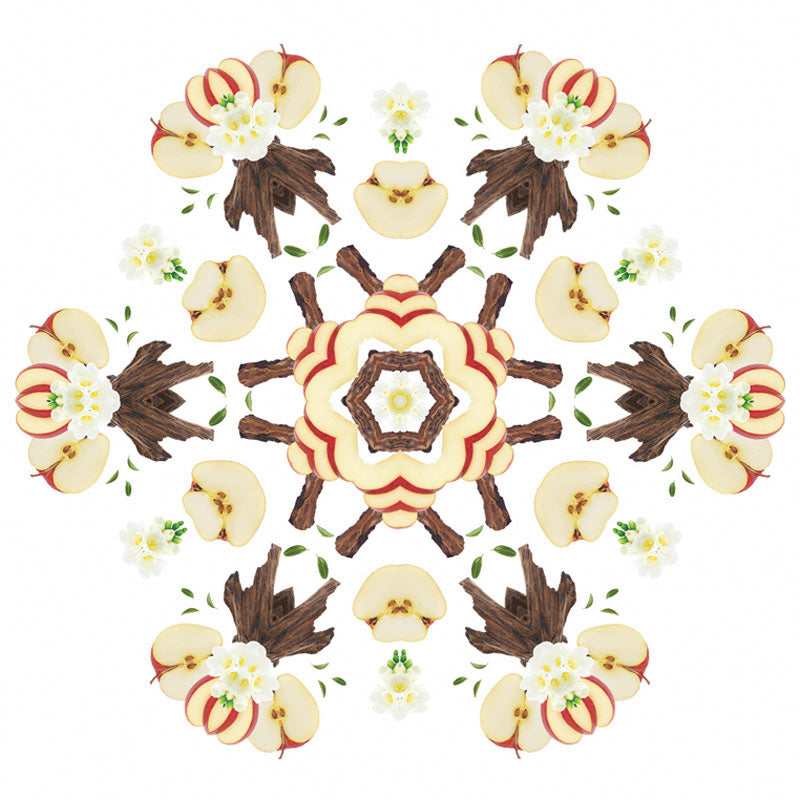 Navullingen autodiffuser 2 stuks autoparfum Animaux tegen dierenluchtjes