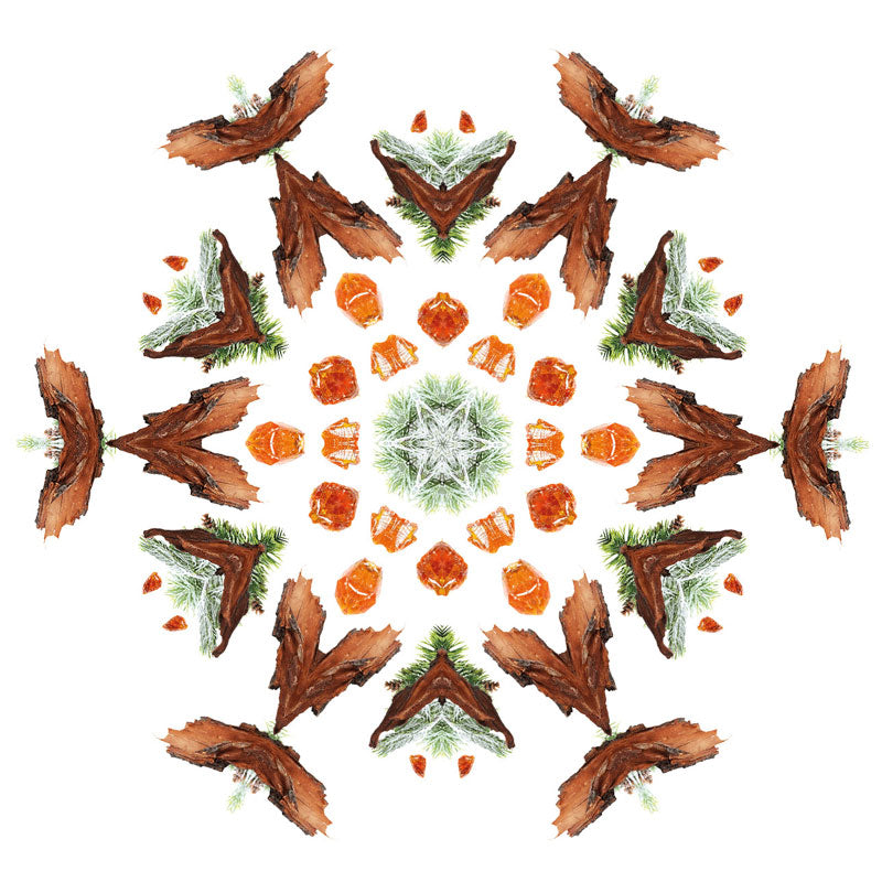 Navullingen autodiffuser 2 stuks autoparfum Tabac tegen tabaksluchtjes