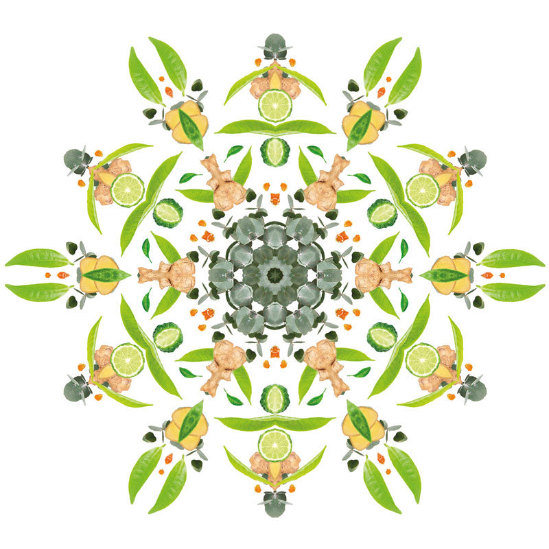 Navullingen autodiffuser 2 stuks autoparfum Aroma Travel - Op reis