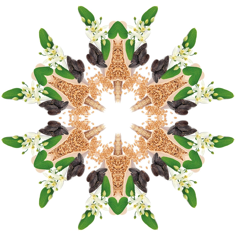 Navulling geurstokjes 200ml Blé d'Or | Gouden tarwe