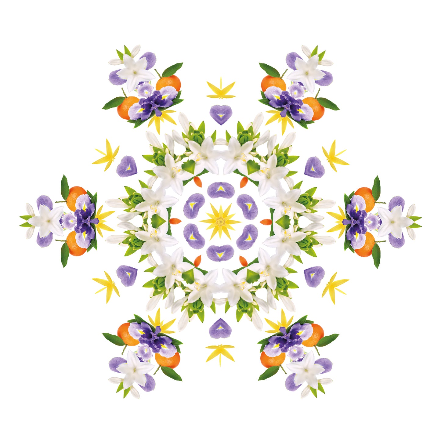 Navullingen autodiffuser 2 stuks Fleurs de Musc - Bloemige musk