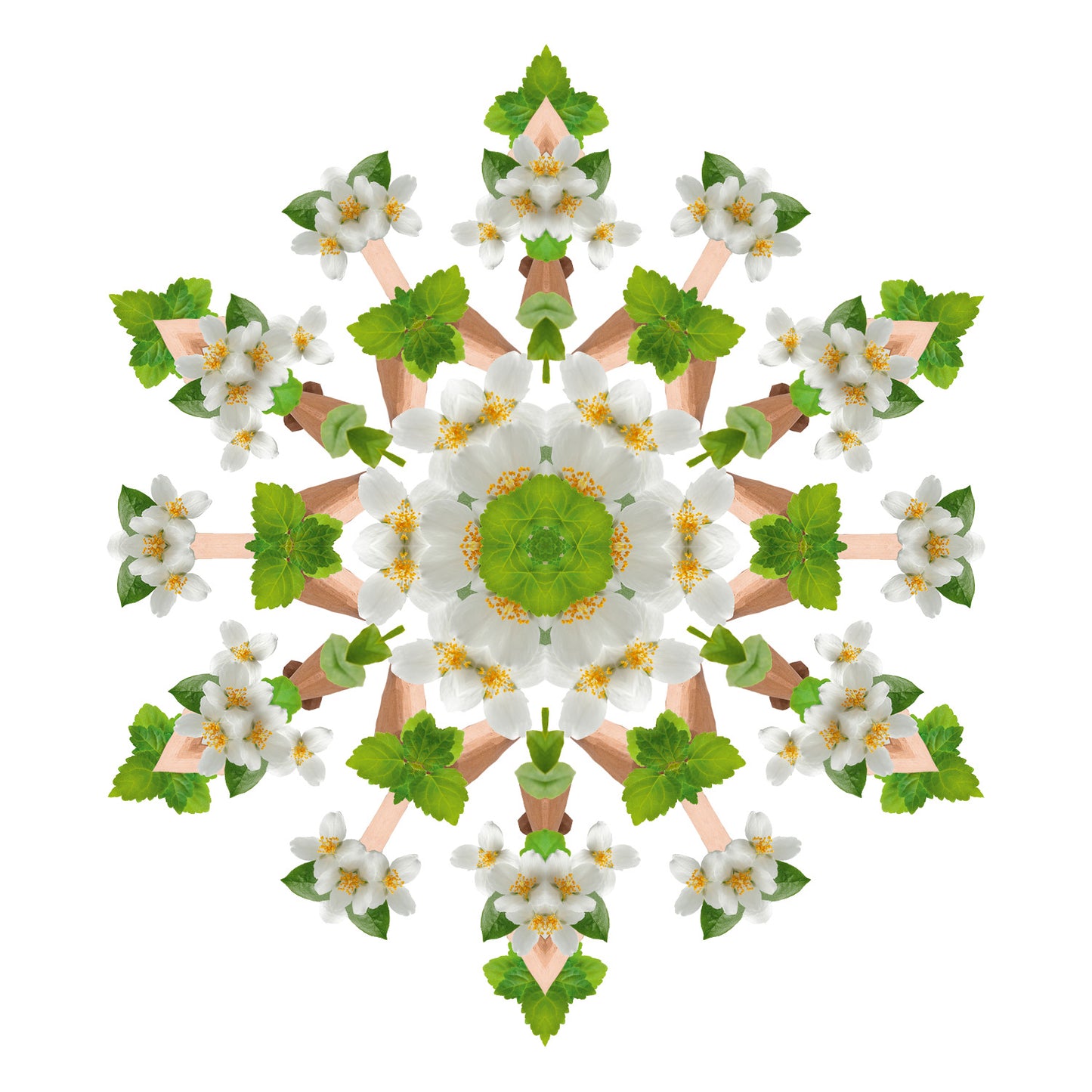 3-in-1 wasmiddel Home sweet Home