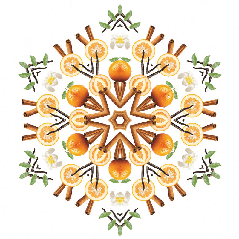 Voordeelset Orange Cannelle Parfumsticks + 200ml navulling