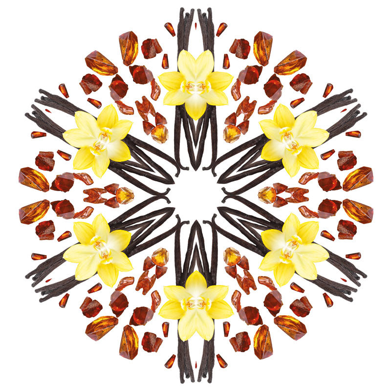 Navullingen autodiffuser 2 stuks Poussière d'Ambre - Amber