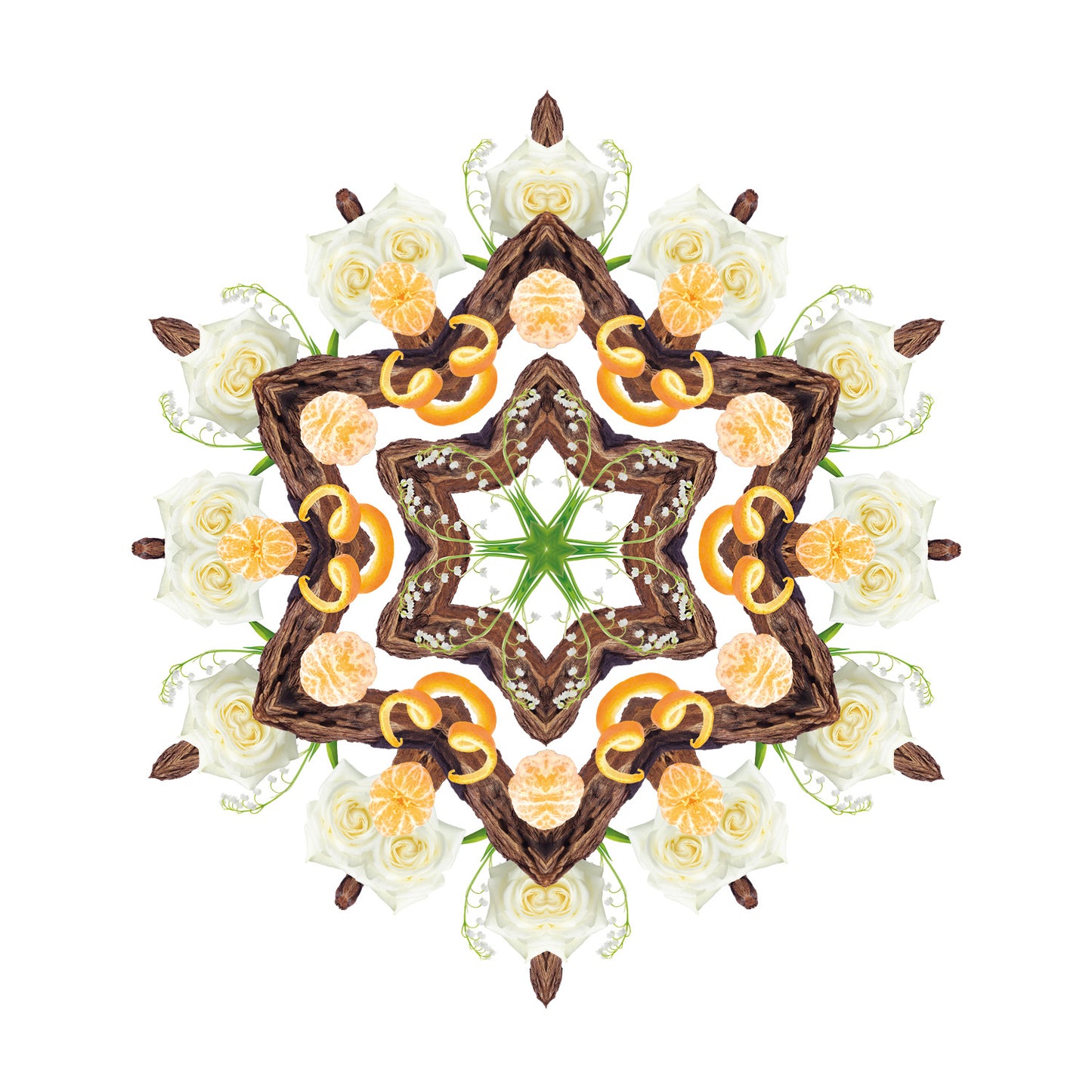 Lampe Berger huisparfum Santal Envoutant - Betoverend sandelhout