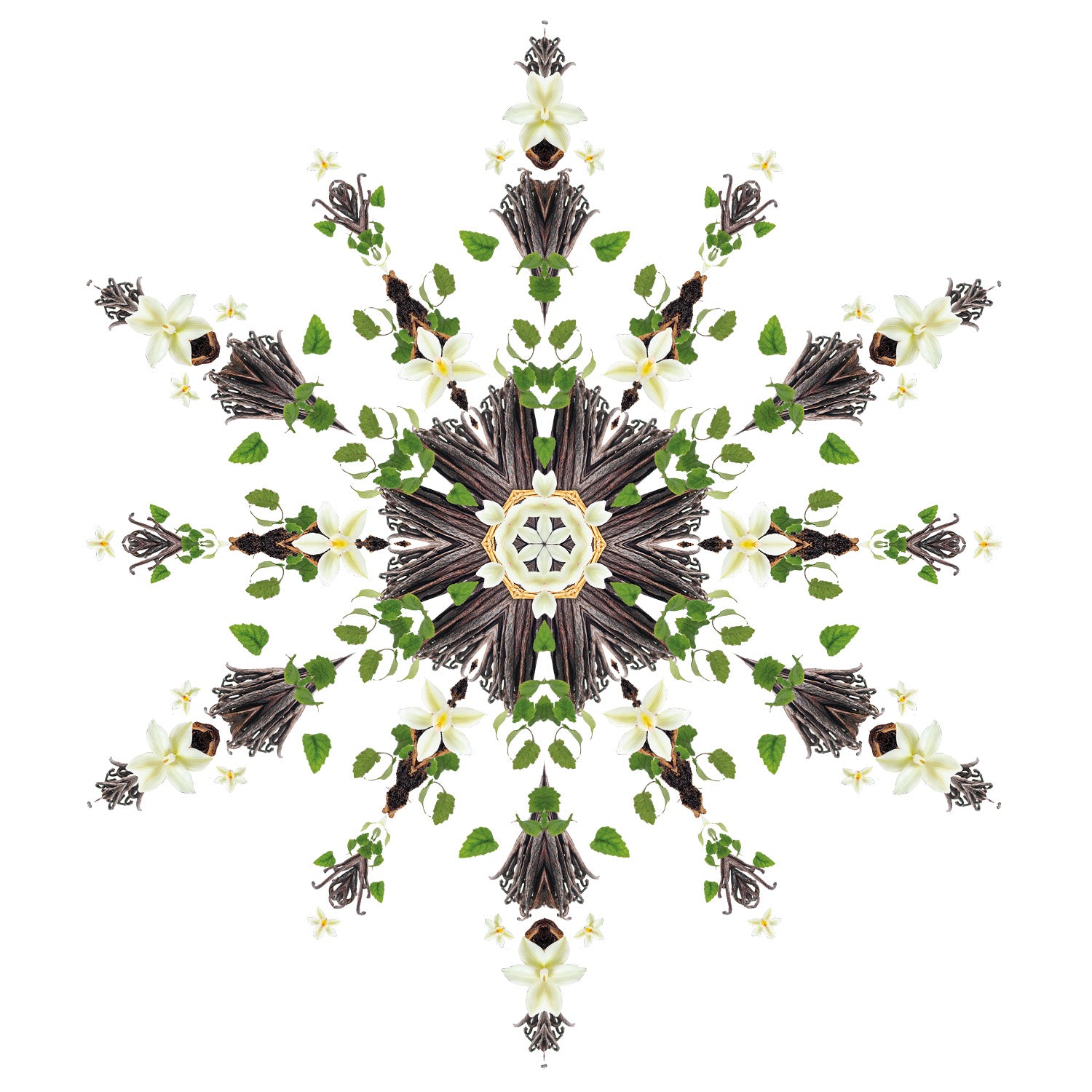 Lampe Berger huisparfum Splendeur Vanille - Fantastische vanille