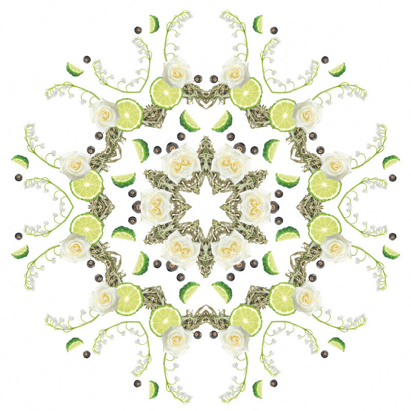 3-in-1 wasmiddel Thé Blanc Pureté