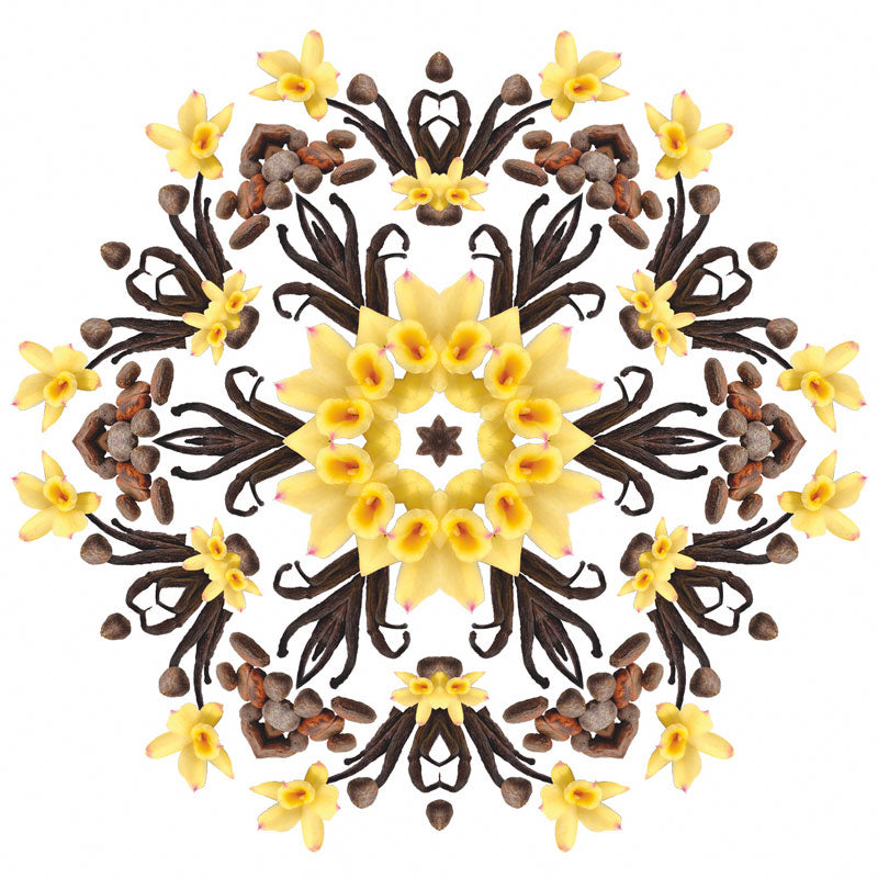 Navulling geurstokjes 200ml Vanille Gourmet | Vanille gourmet