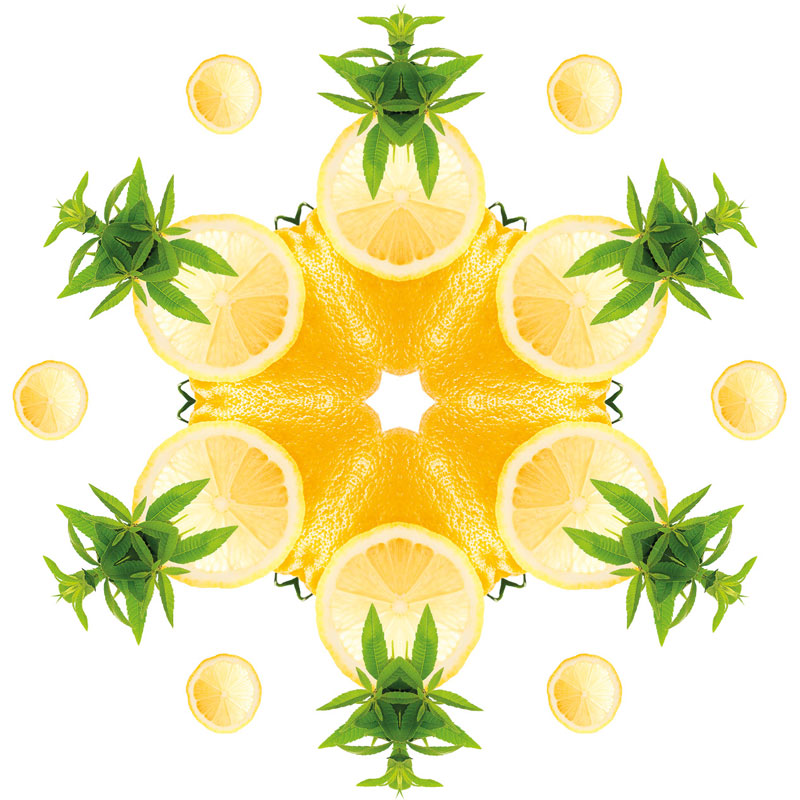 Navullingen autodiffuser 2 stuks autoparfum Zeste de Verveine – Schil van verbena