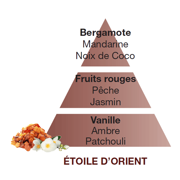 Lampe Berger huisparfum Étoile d'Orient - Oosterse ster