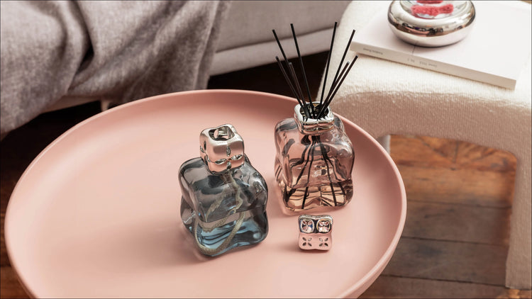 Maison Berger Paris Collectie Cosy