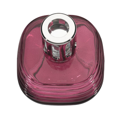 Lampe Berger Vibes Prune