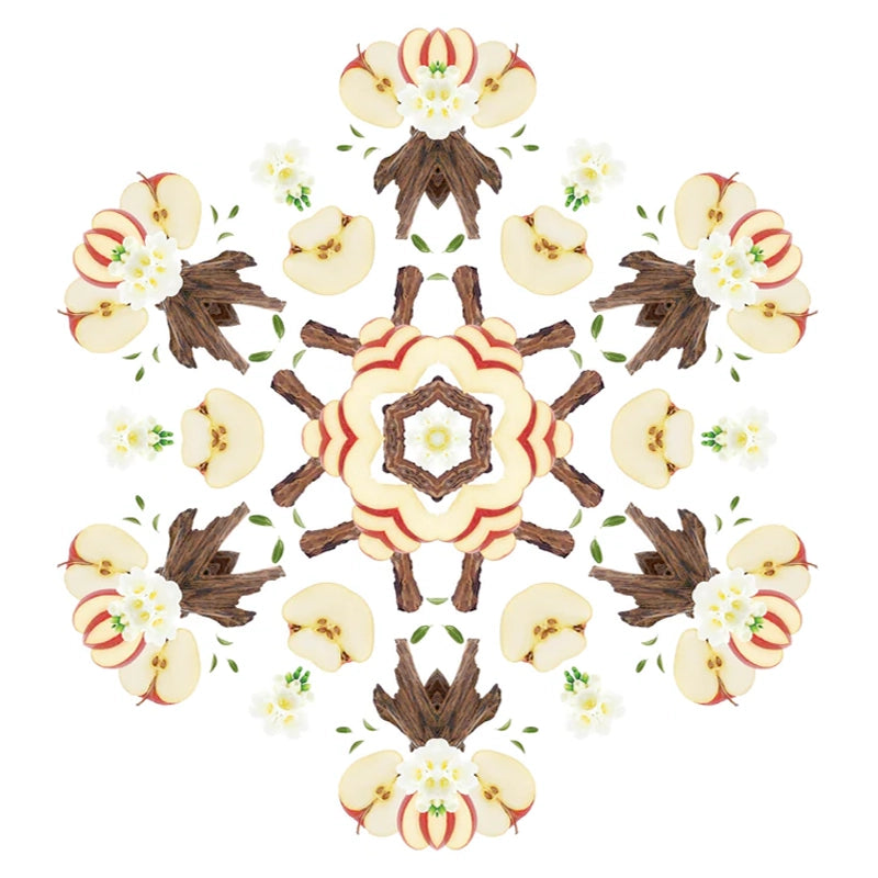 Parfumsticks Cube & Dierenluchtjes - Fris en bloemig