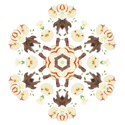 Parfumsticks Cube & Dierenluchtjes - Fris en bloemig