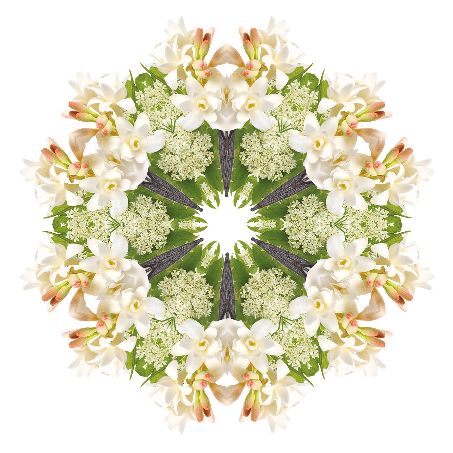 Lampe Berger huisparfum Angélique Noire - Zwarte angelica