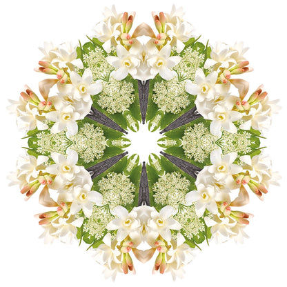 Navullingen autodiffuser 2 stuks Angélique Noire - Zwarte angelica