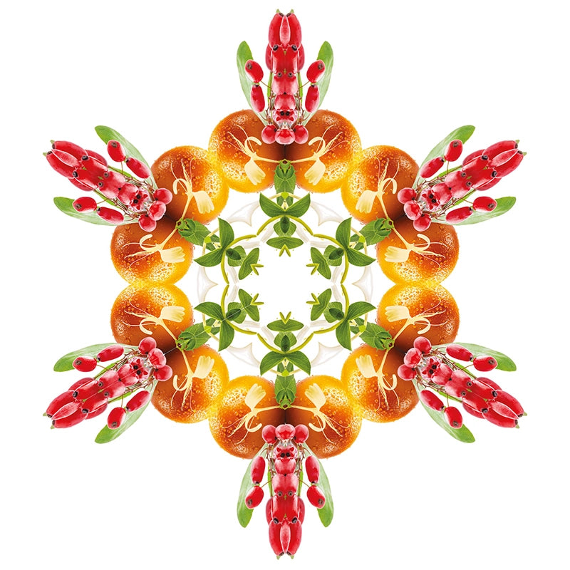 Navulling geurstokjes 200ml Baies de Goji | Gezonde gojibes