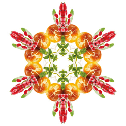 Navulling geurstokjes 200ml Baies de Goji | Gezonde gojibes