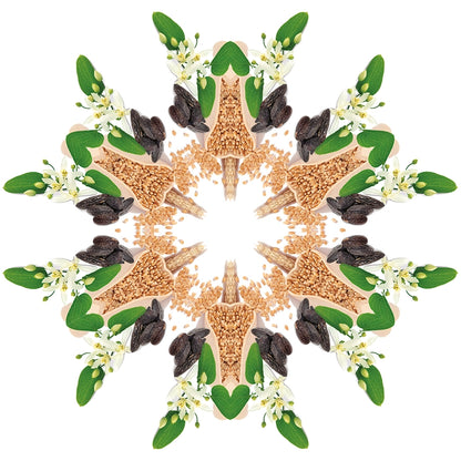 Navulling geurstokjes 200ml  Blé d'Or | Gouden tarwe