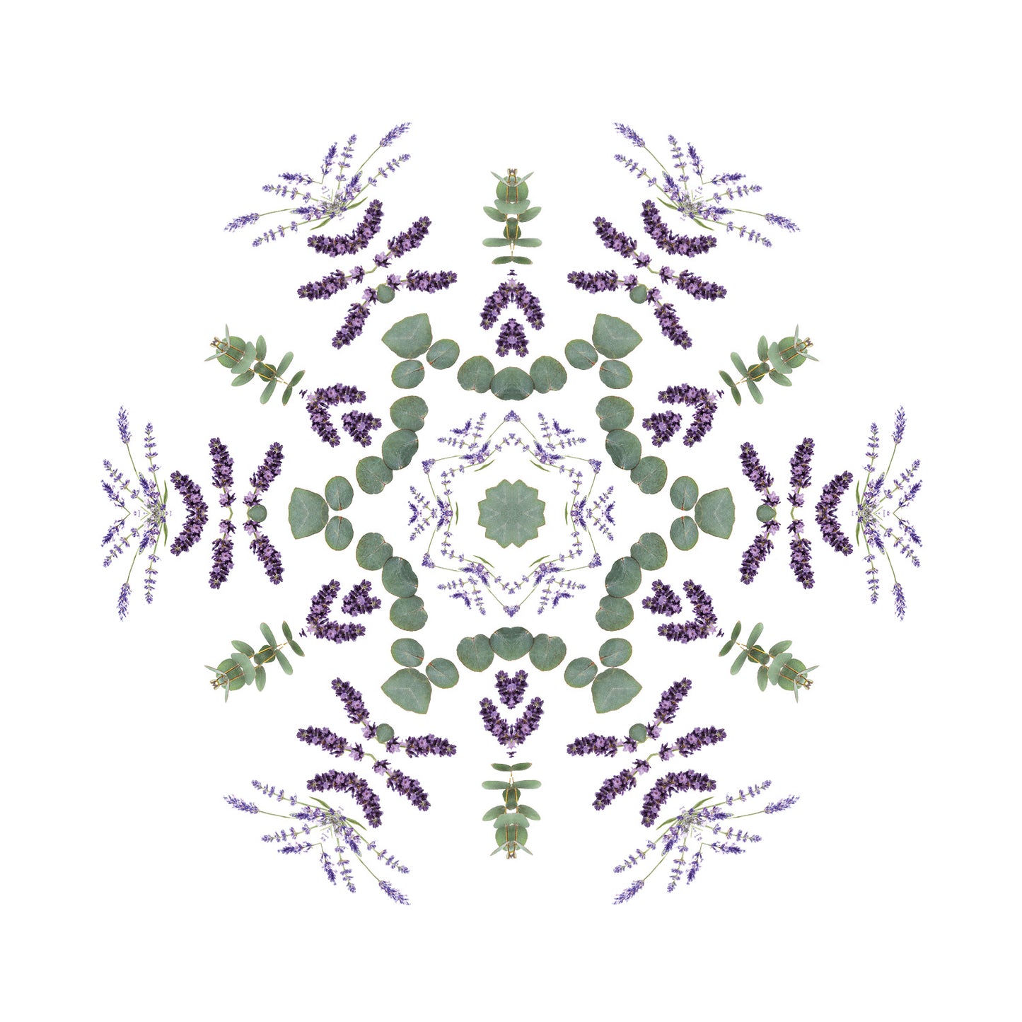 Lampe Berger huisparfum Champs de Lavende - Lavendel velden