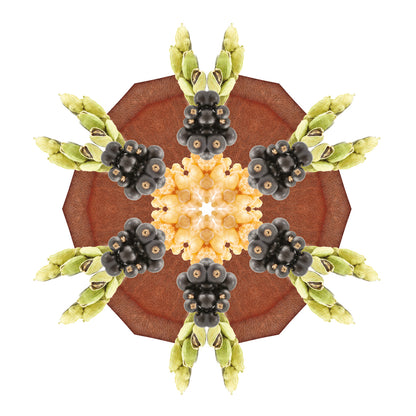 Lampe Berger huisparfum  Cuir Mystique - Mysterieuze leer