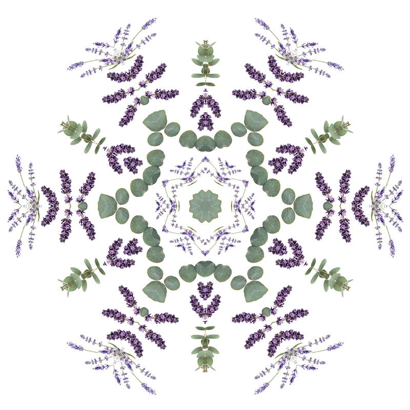 Navulling geurstokjes 200ml Champs de Lavande | Lavendel velden