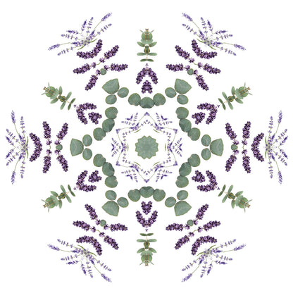 Navulling geurstokjes 200ml Champs de Lavande | Lavendel velden