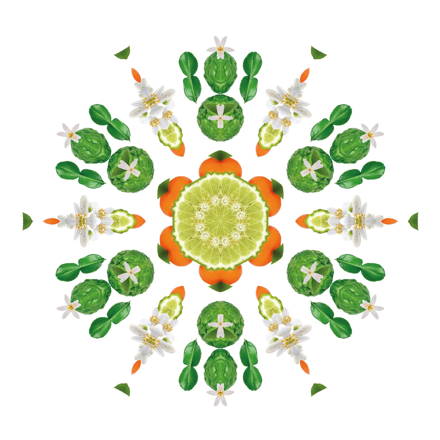 Lampe Berger huisparfum  Eclatante Bergamote - Stralende bergamot