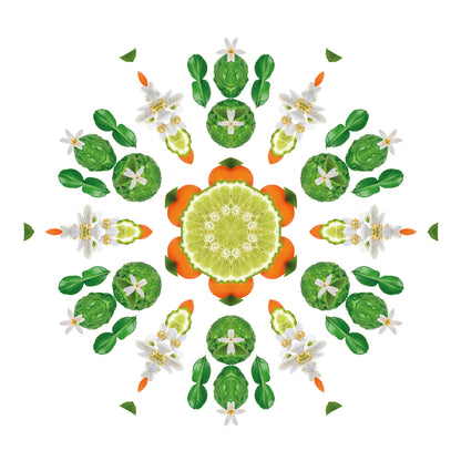 Lampe Berger huisparfum  Eclatante Bergamote - Stralende bergamot