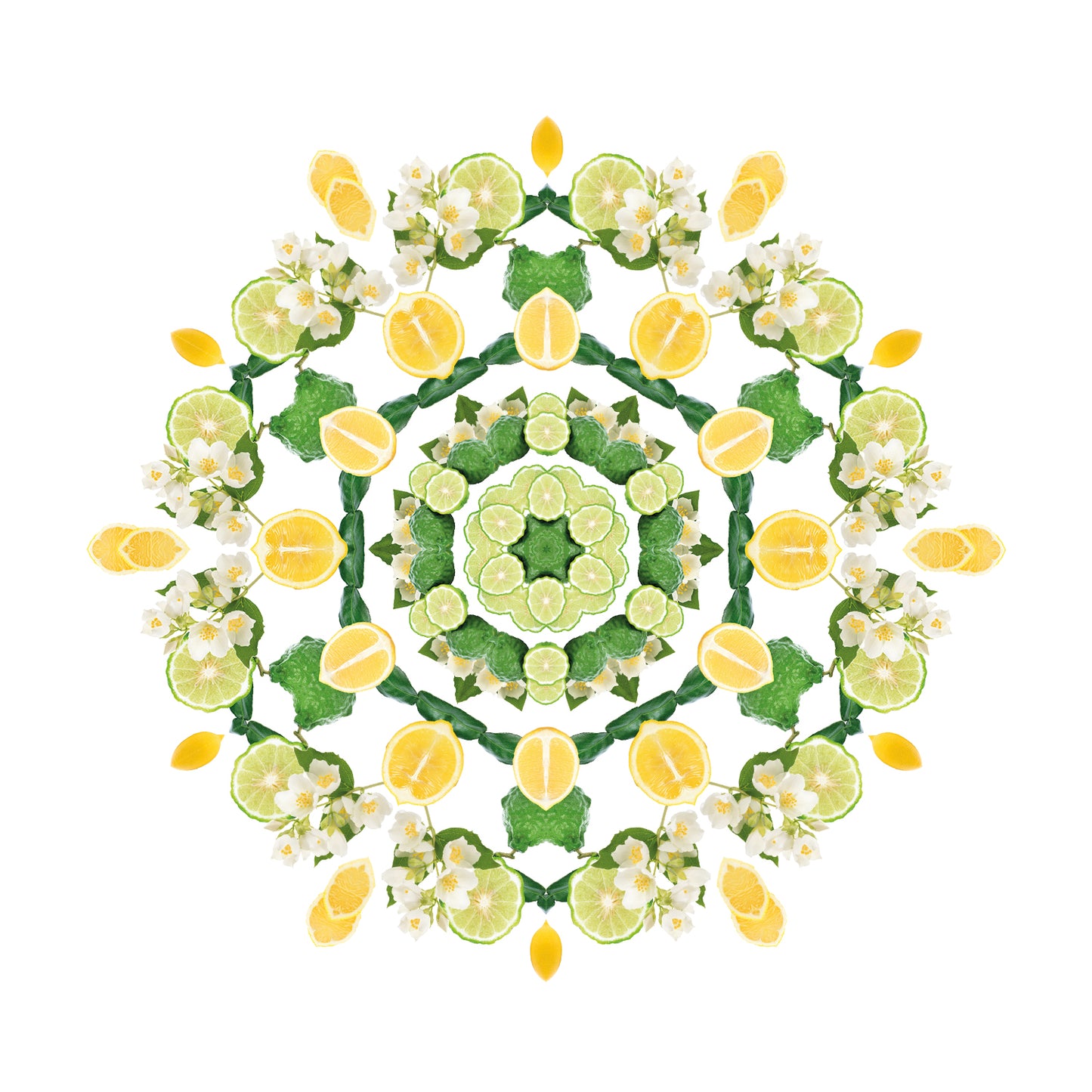 Parfumsticks Cube & Fleur de Citronnier