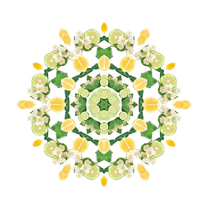 Parfumsticks Cube & Fleur de Citronnier