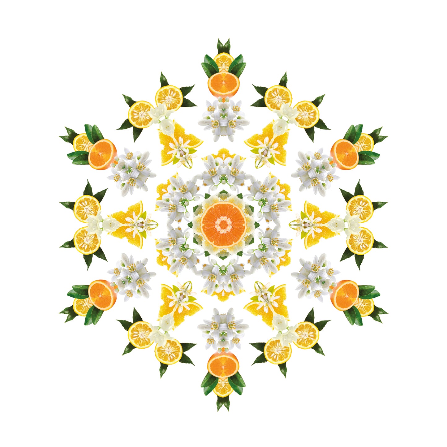 Lampe Berger huisparfum  Fleur d'Oranger - Oranjebloesem