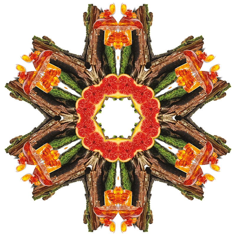 Lampe Berger huisparfum Féérie Boisée - Toverachtig bos