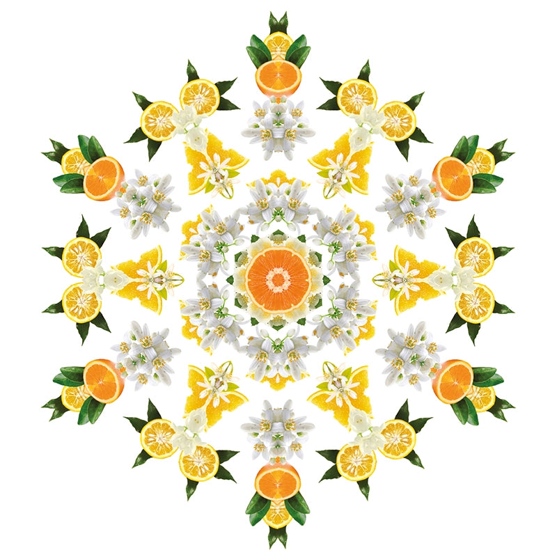 Navulling geurstokjes 200ml Fleur d'Oranger | Oranjebloesem