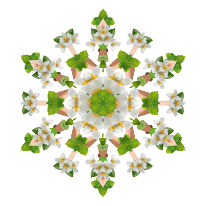 3-in-1 wasmiddel Home sweet Home