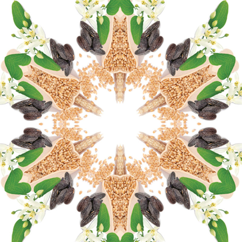 Parfumsticks Cube & Blé d'Or