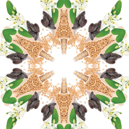 Parfumsticks Cube & Blé d'Or