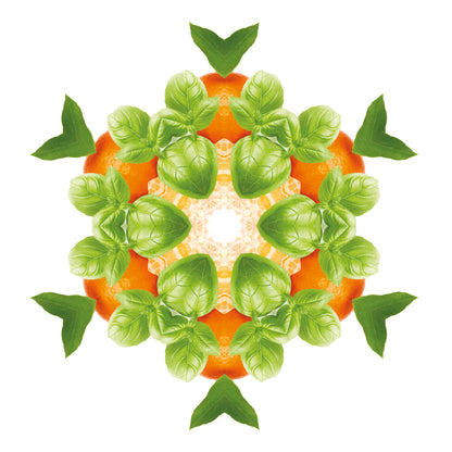 Autodiffuser Revelry Mandarine Aromatique