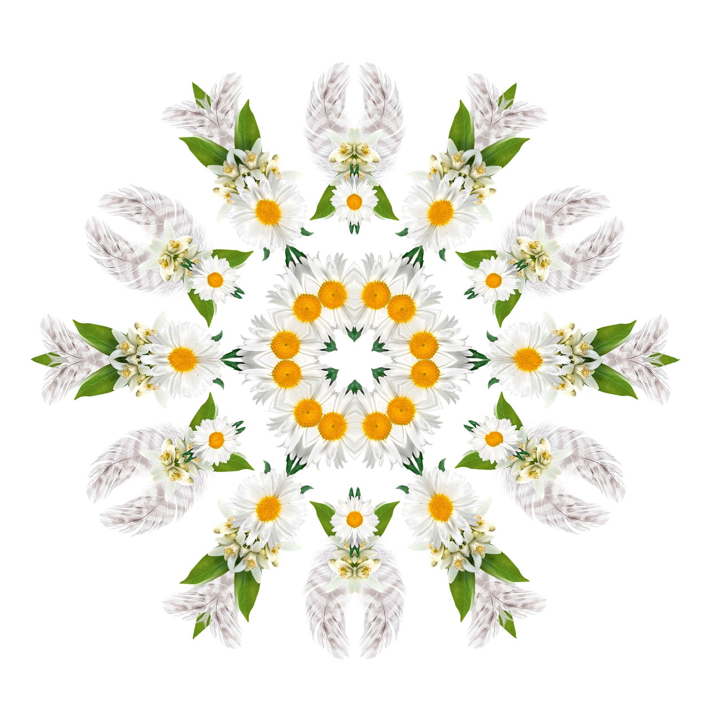 Lampe Berger huisparfum Musc Cocoon - Muskus om mee te cocoonen