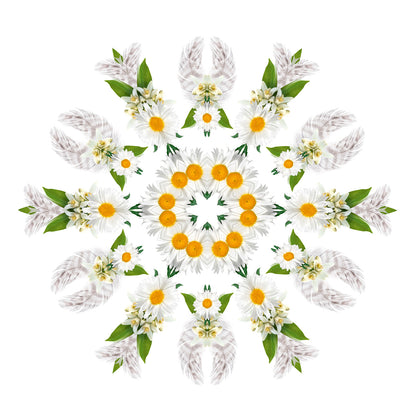 Lampe Berger huisparfum Musc Cocoon - Muskus om mee te cocoonen