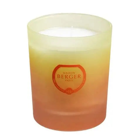 Geurkaars Blissfull Coco Monoï