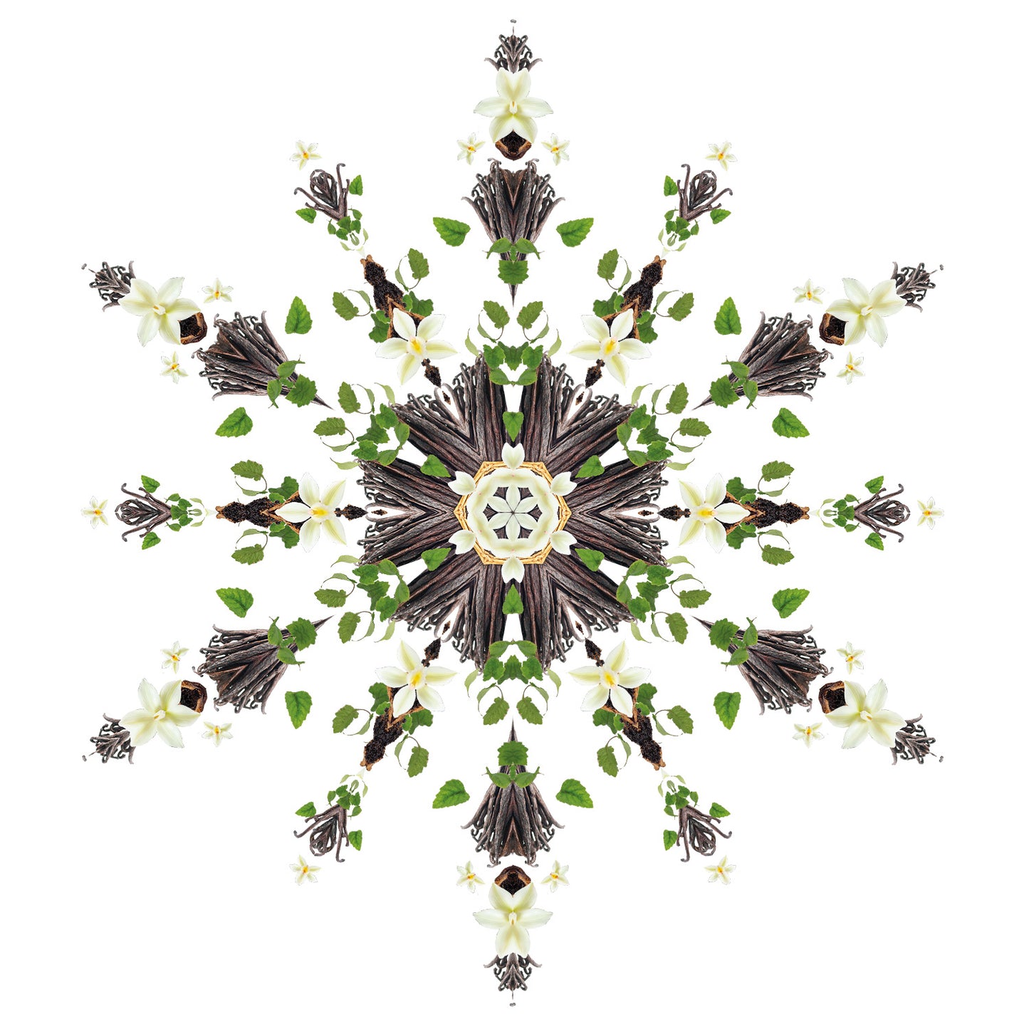 Parfumsticks Cube & Splendeur Vanillée