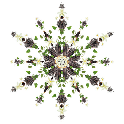 Parfumsticks Cube & Splendeur Vanillée