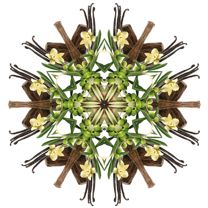 Navulling geurstokjes 200ml Sous L'Oliveraie | Onder de olijfboom