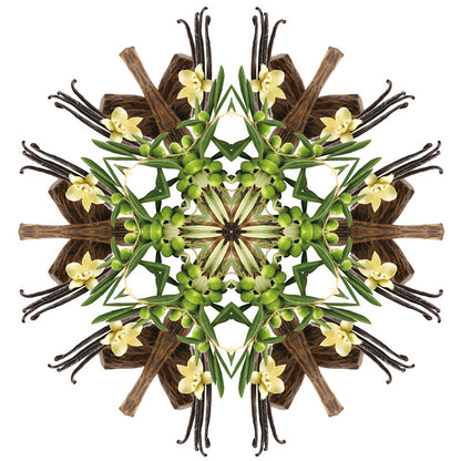 Navulling geurstokjes 200ml Sous L'Oliveraie | Onder de olijfboom