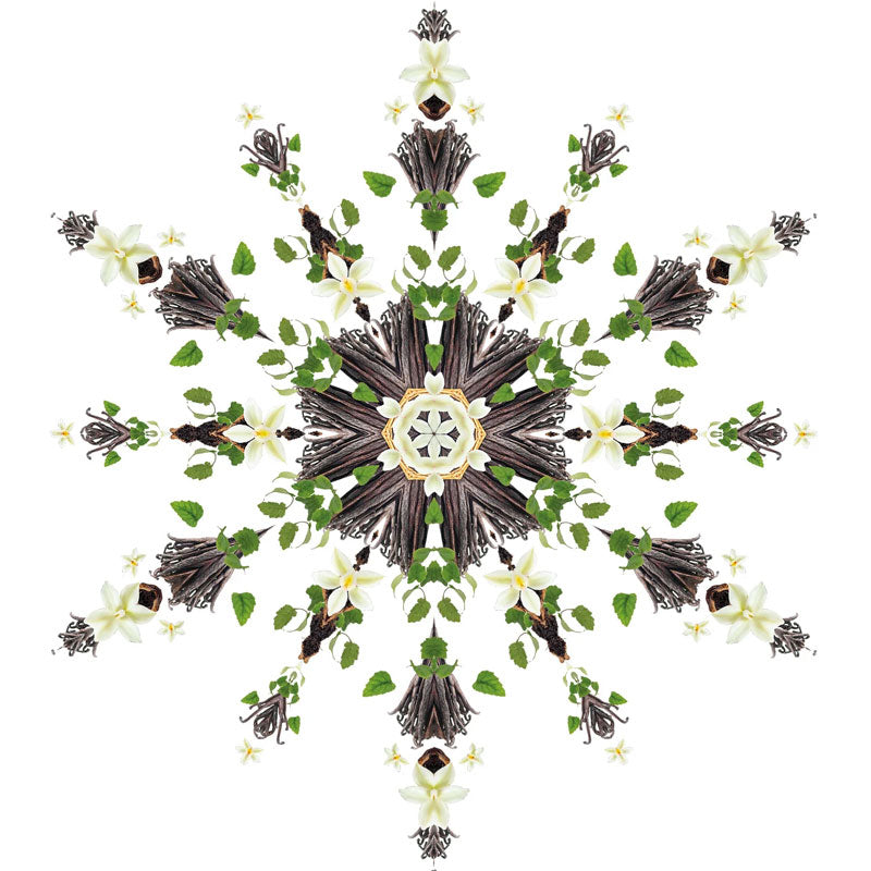 Geurkaars Kali Noir - Splendeur Vanillée