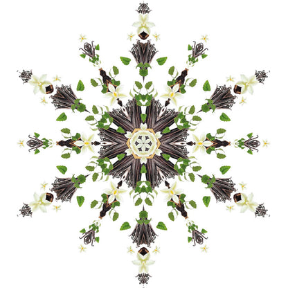 Geurkaars Kali Noir - Splendeur Vanillée