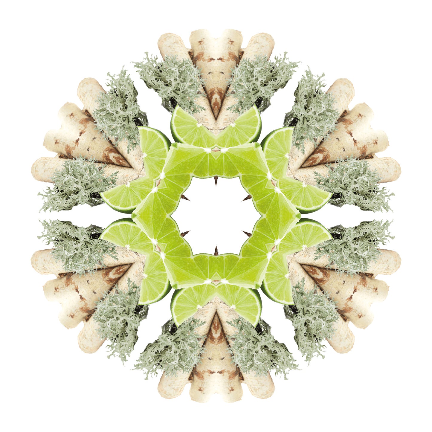 Lampe Berger huisparfum Terre Sauvage - Wildernis