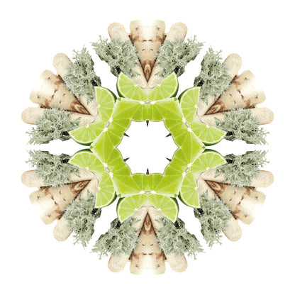 Lampe Berger huisparfum Terre Sauvage - Wildernis