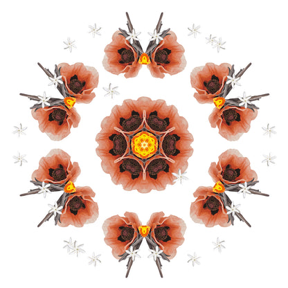 Parfumsticks Cube & Velours d'Orient